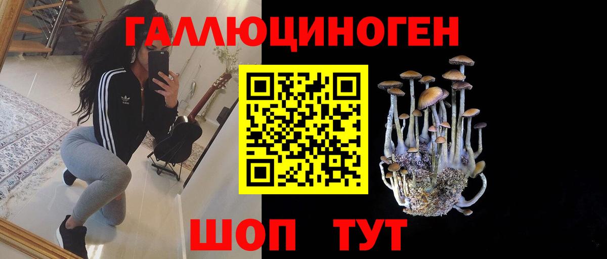 как найти наркотики  Псилоцибиновые грибы MAGIC MUSHROOMS  Вход с VPN  Ачинск 